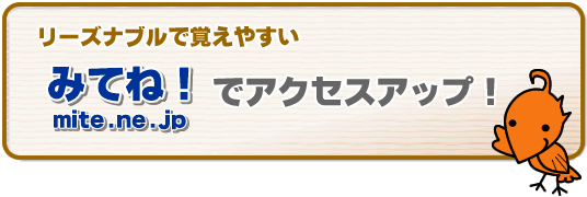 ���[�Y�i�u���Ŋo���₷���I�u�~�e�l�Imite.ne.jp�v�ŃA�N�Z�X�A�b�v